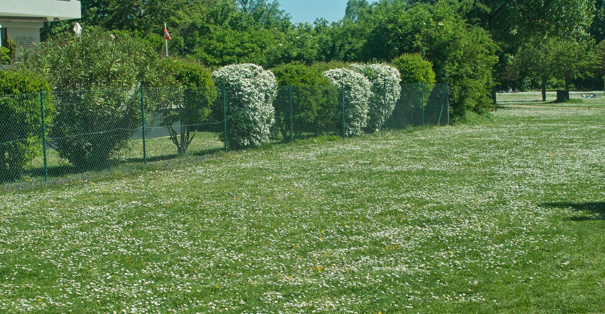 NoFa-Ausbildung: Prüfe Dein Wissen - Grundstückskaufvertrag